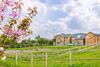 Greymoor Meadows - Cumbria