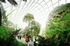 John McAslan's botanical garden design for Dongguan