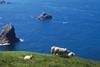 Unst, the UK’s northern most island is perfectly placed to harness wind power