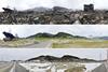 Panoramic images show the Shishiori area of  Kesennuma, Miyagi Prefecture, (from top) on 15 March 2011, four days after the disaster; on 30 August 2012; and on 14 February 2014.