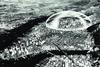 1.6 km high, 3 km wide, and $200m: Bucky Fuller’s modest proposal for Manhattan