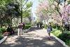 Fosters working on new Canary Wharf park at foot of planned JP Morgan tower