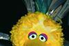 Who’ll help with the big bird home shortage?