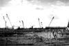 ǿմý site