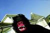 Protestors go ape: