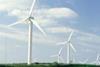 Wind farm scrapped to protect rare birds