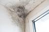 New guide from CIOB and CIH looks at construction causes of damp and mould