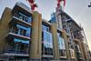 merck 1