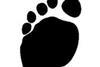 footprint 226