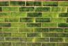 green-wall-shutterstock_2051085