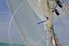 Sail away in charity race
