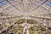 Temperate-House---ISG