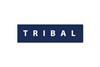 Tribal logo