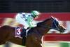 The Jockey Club’s security team has specified Bosch’s DinionXT CCTV cameras to monitor racehorse stables across the country.