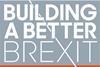 ɫTV a better Brexit campaign logo