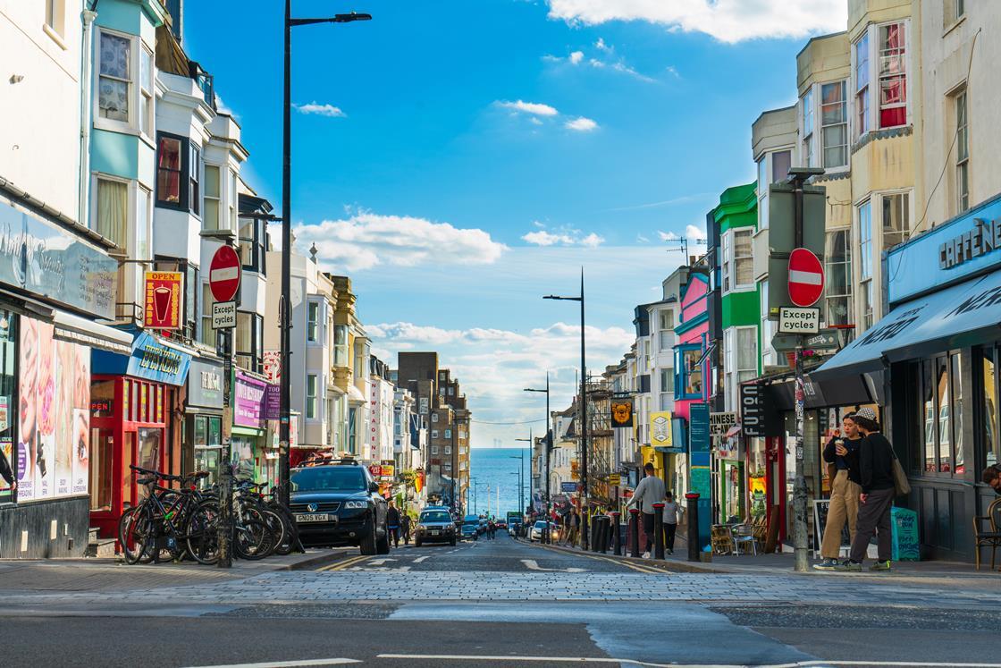 New schemes in Brighton will need ‘swift bricks’ for nesting birds to