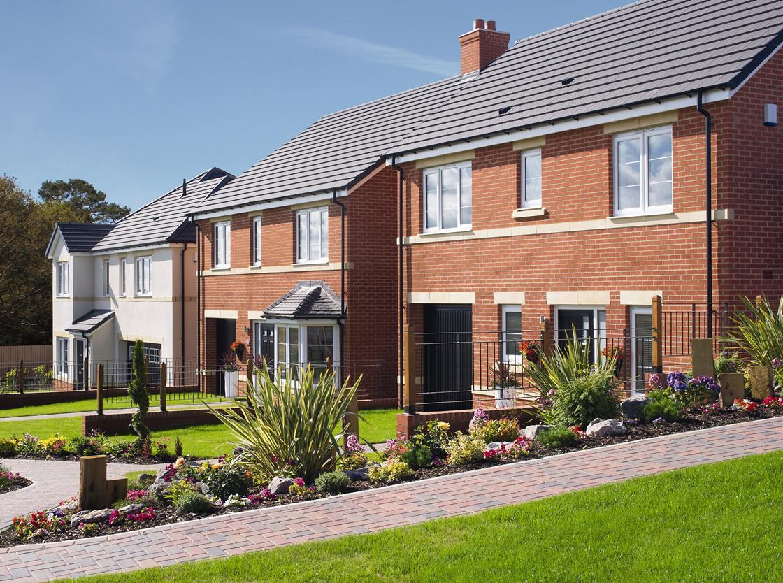 Avant Homes boss says firm is set for record year News Building