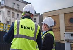 bovis cropped