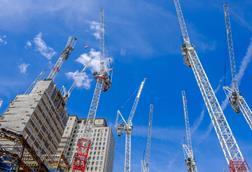 cranes 1