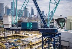 hg pic