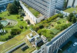 shutterstock green garden rooftop