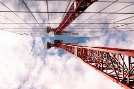 crane