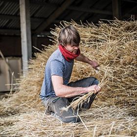 The Enterprise Centre combines the ancient construction method of thatching with modern technical innovations