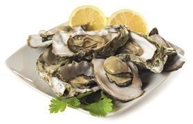 oyster shutterstock_399961285