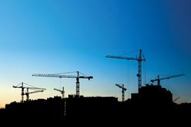 Crane silhouettes