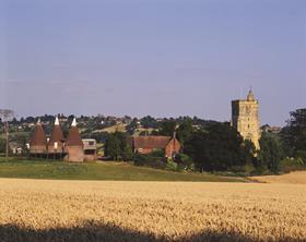 Home Counties landscape