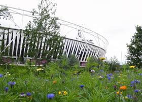 Olympic stadium