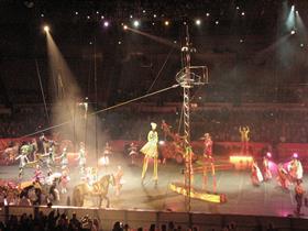 circus