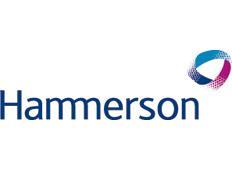 Hammerson Logo 232 square