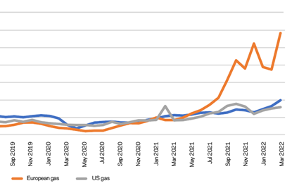 Figure 4- Commodity Energy price 2022