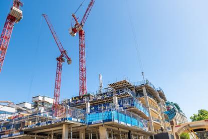 shutterstock_2325448189