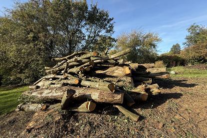 shutterstock_2742175217