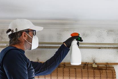 shutterstock_2574529825