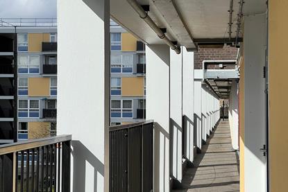 shutterstock_2643713711