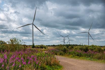 shutterstock_2500275625