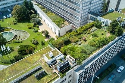 shutterstock green garden rooftop