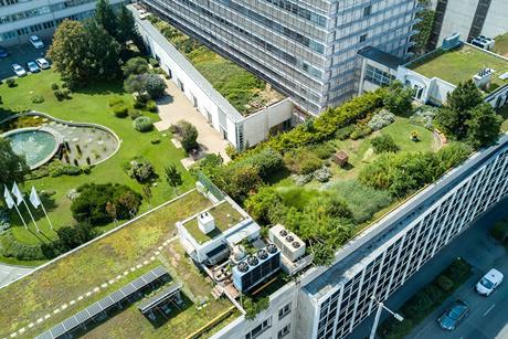 shutterstock green garden rooftop