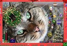 Cat Christmas card