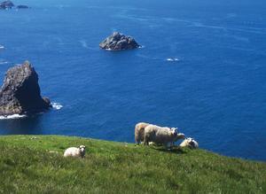 Unst, the UK’s northern most island is perfectly placed to harness wind power