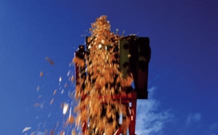 Can biomass be classed as an on-site renewable?