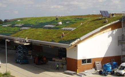 Greenfix in action, adding a green roof to Adnam’s Suffolk brewery in 2006