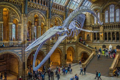 Natural History Museum 100520