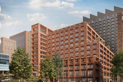 Allies Sister 2025 1