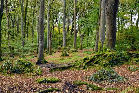 shutterstock_224720083