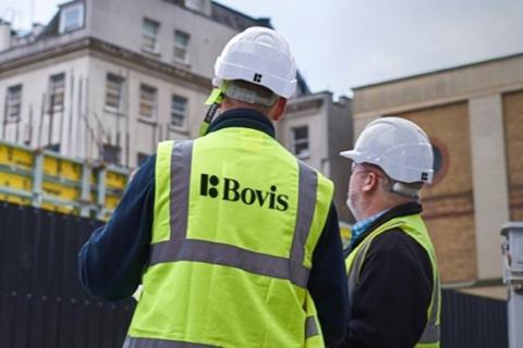 bovis cropped