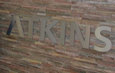 atkins logo